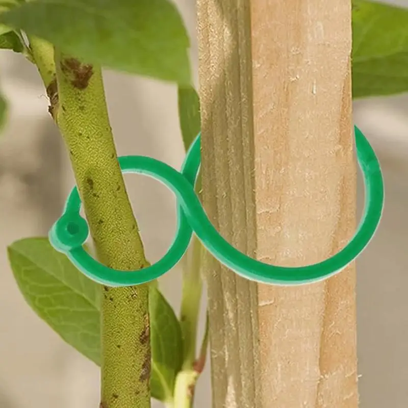 50/100pcs Vine holder Clips 8-Shaped buckle Plant Holder Cucumber vine stand Clips for Climbing Plants Stem support garden tool