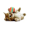 10pcs Colorful Pet Cat Kitten Soft Foam Rainbow Play Balls Funny Activity Toys 4