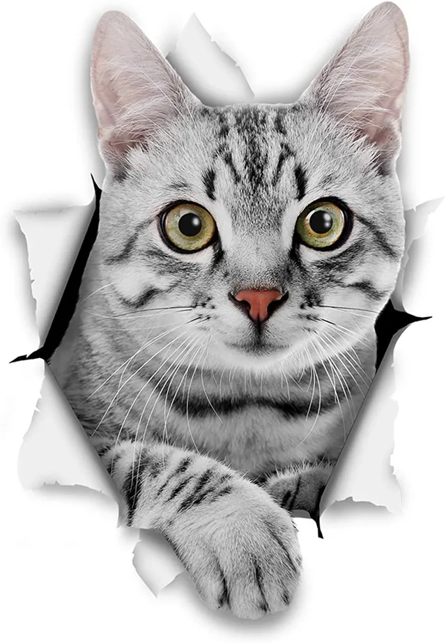

Broken Glass Effect Cat Car Auto Sticker Sticker z1