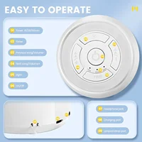 Rechargeable Timed USB  Shutdown Sleep Machine