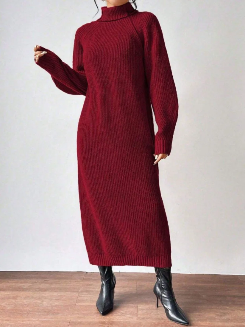 2025 New Winter Knit Dresses Women Turtleneck Straight Long Dress Autumn Solid Full Sleeve Thick Casual Vestidos Basis Lady 6