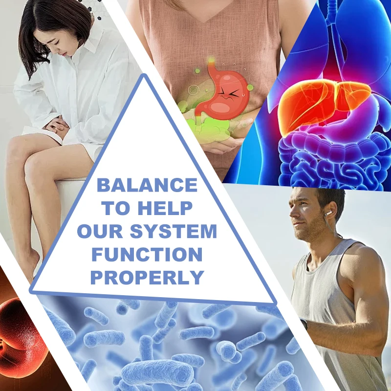 Native Mushroom Gummies