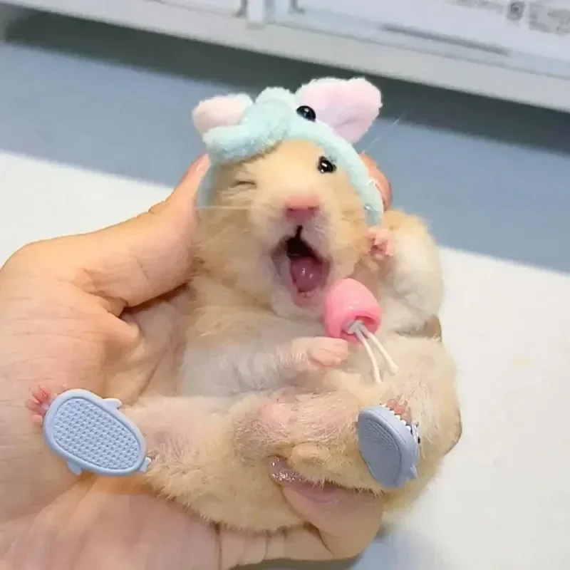 Hamster Costume Shoes Shark Slippers Cosplay Suit Small Pet Fun Clothes Guinea Pigs Cosplay Assessories For Real Pets small pet costume