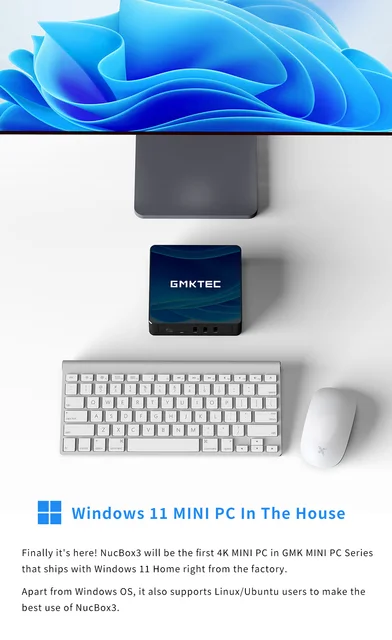 ミニPC Win11Pro GMKtec NucBox3 付属品完備-