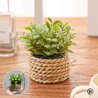 XIYA FLOWER Green Artificial Plants Eucalyptus Grass Woven Small Potted Plants Grass Mound 11cm PE Material Home Decoration 4