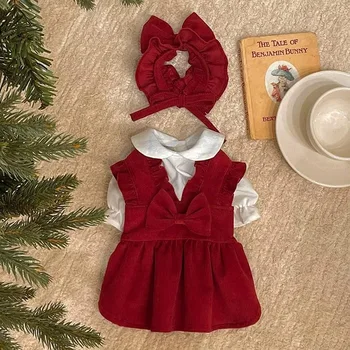 Winter Puppy Princess Dress 6