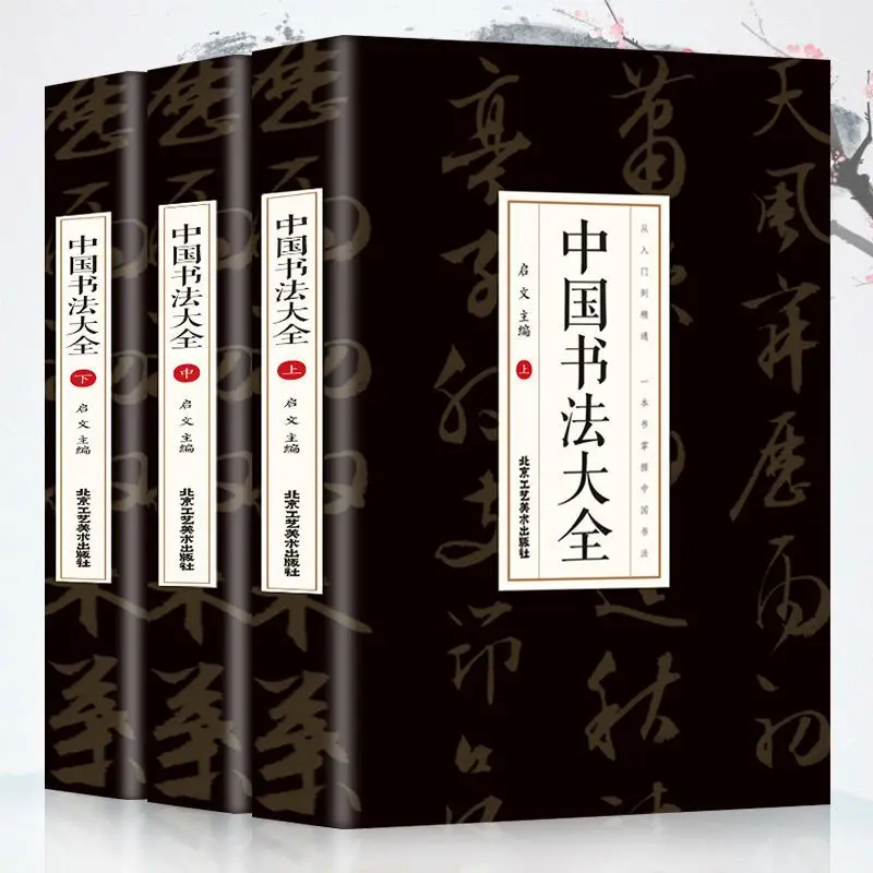enciclopedia-della-calligrafia-cinese-3-volumi-i-principianti-imparano-a-praticare-la-calligrafia-del-pennello-insegnamento-del-corso-di-base