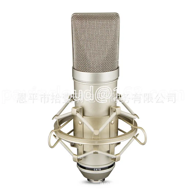 Condenser Singing Microphone Professional  Xlr Professional Condenser  Microphone - Microphones - Aliexpress