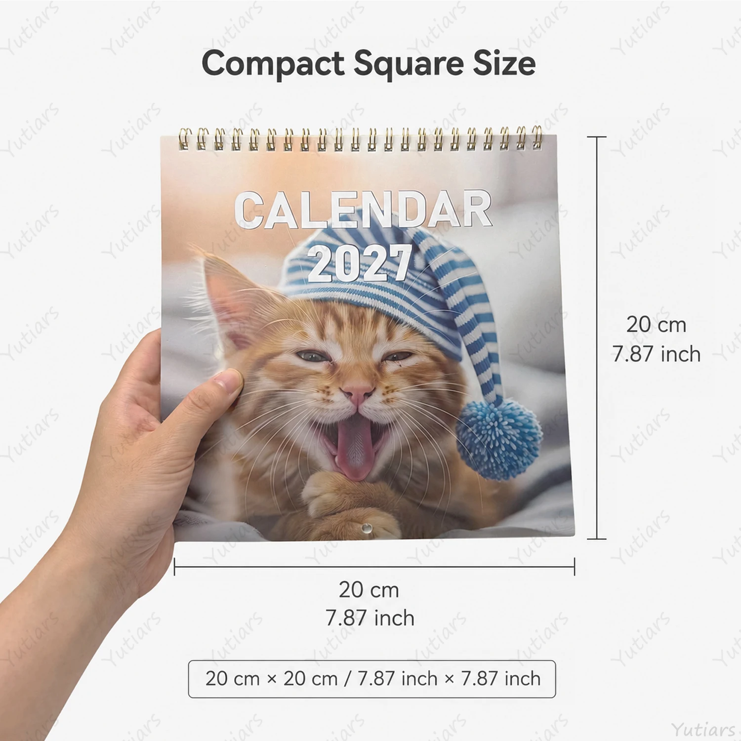 Charming Cat Wall Calendar: Funny & Cute Monthly Cat Photos