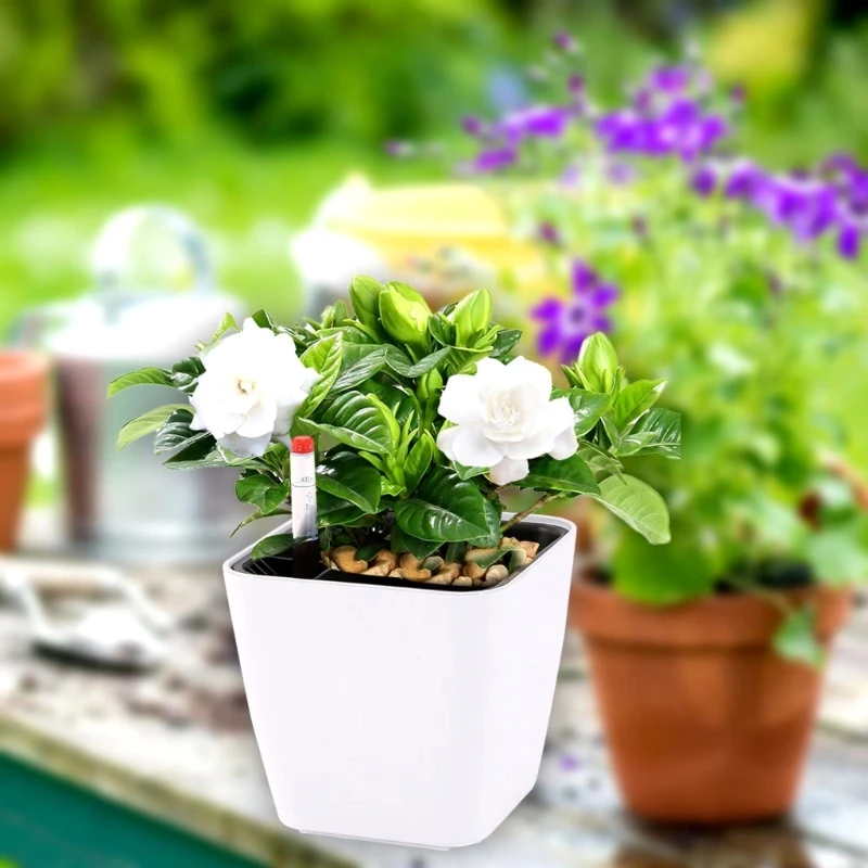Plant Pots Self Watering Lazy Flower Pots Automatic Planter Automatic Water Absorbing Flowerpot With Water Level Device
