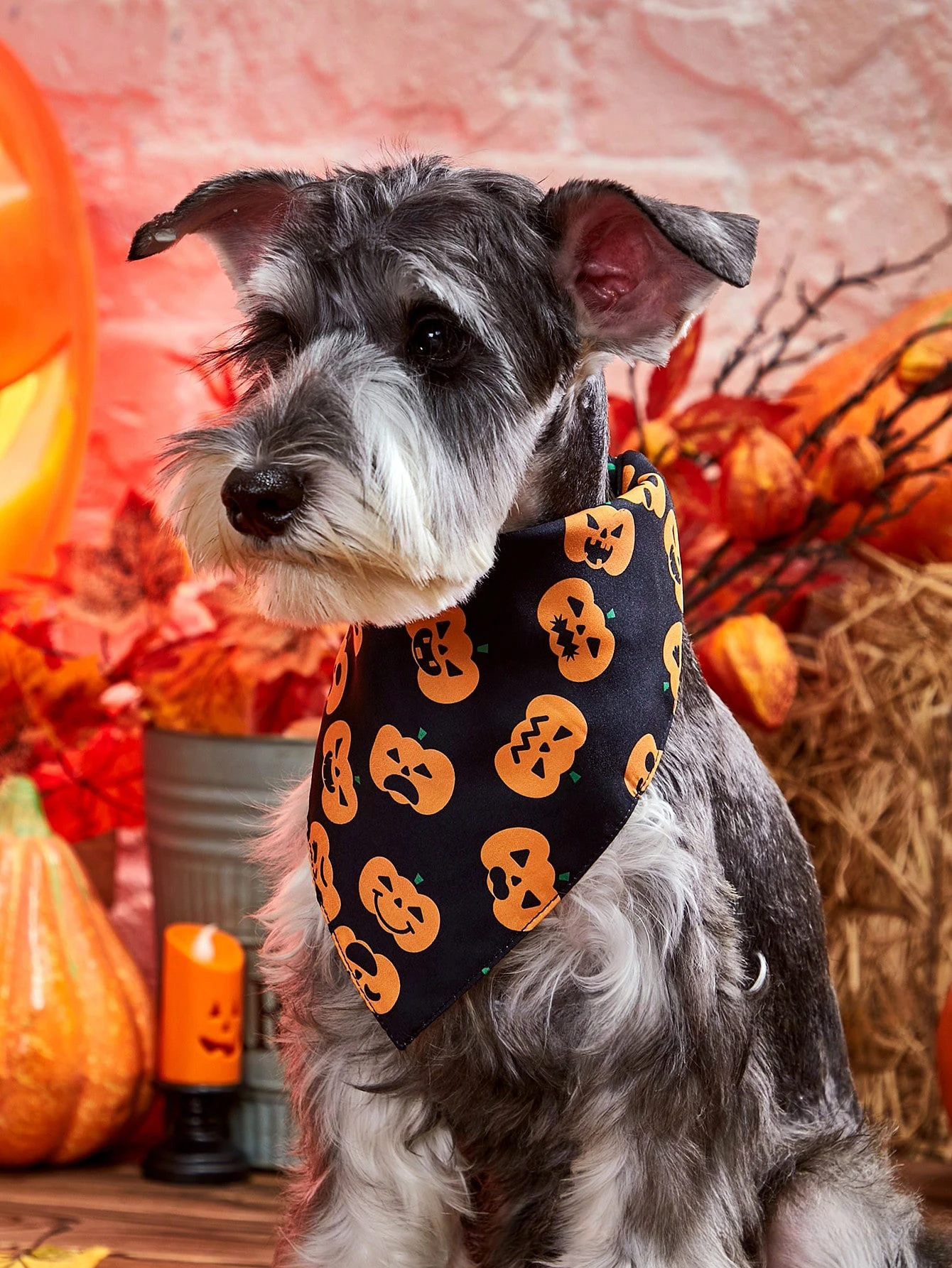 

Halloween Dog Soft Bandana Pet BibsTriangle Scarf Ghost Festival Cosplay Dog Accessories Kitten Puppy Cotton Reflective Bandana