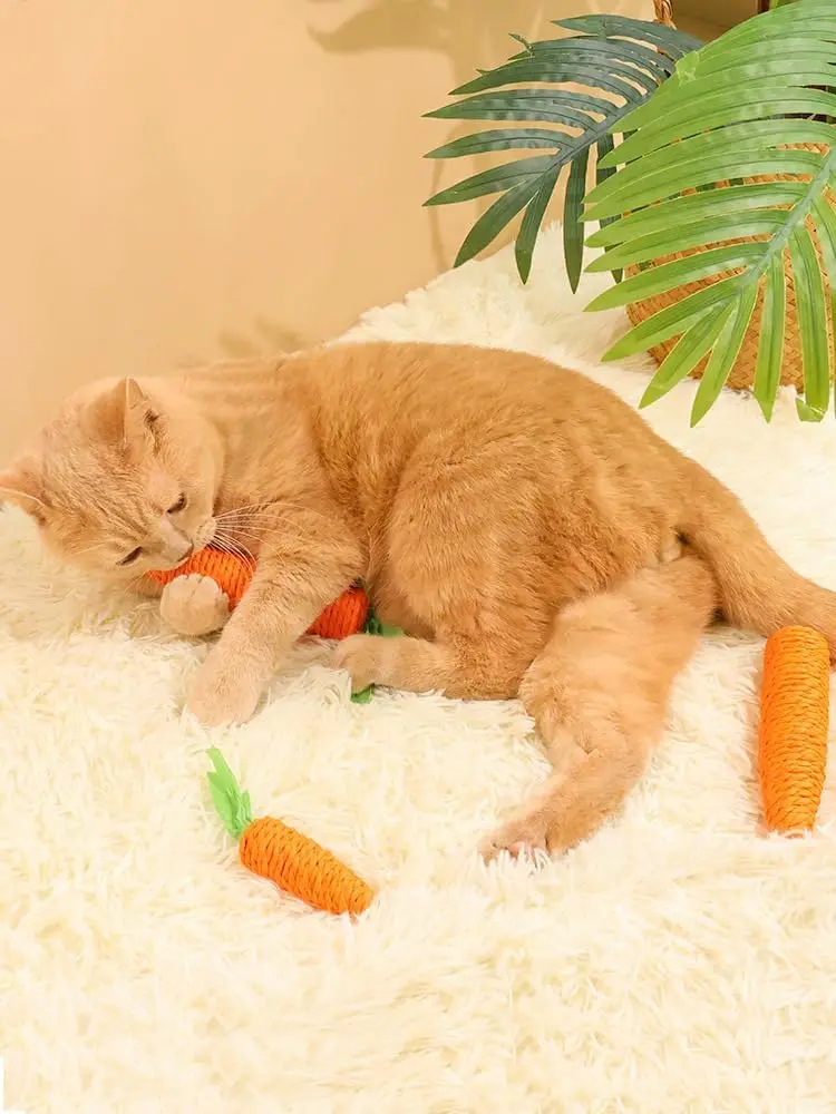 Cat toys self-entertainment
