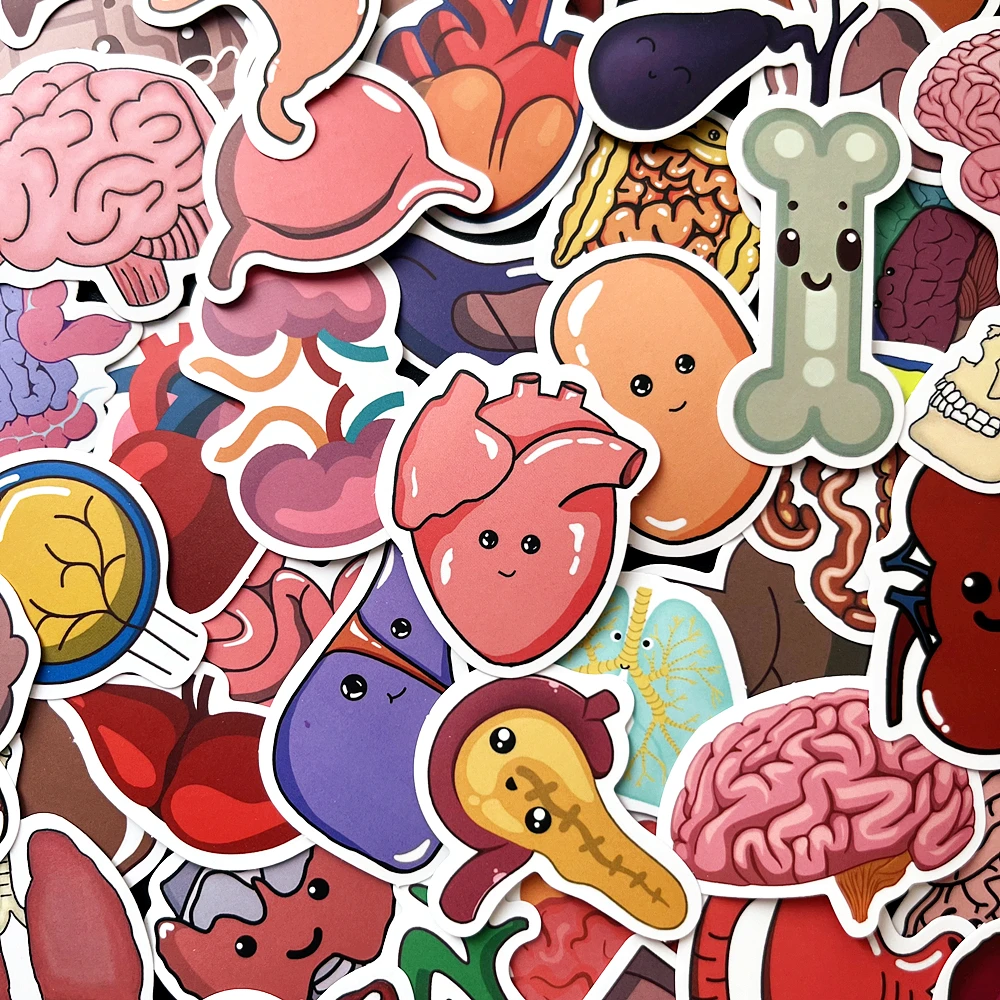 

10/50PCS Cartoon Human Organ Cute Medical Anatomy Sticker Laptop Bicycle Guitar Phone Kid Toy DIY Graffiti Waterproof Stickers