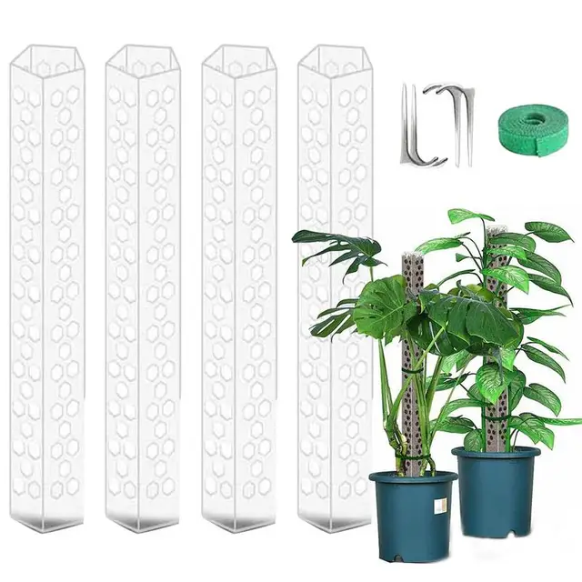 Moss Pólus Növényekhez Monstera Új Egymásra Rakható, Átlátszó Növény Tét Rakható A Beltéri Növények Számára