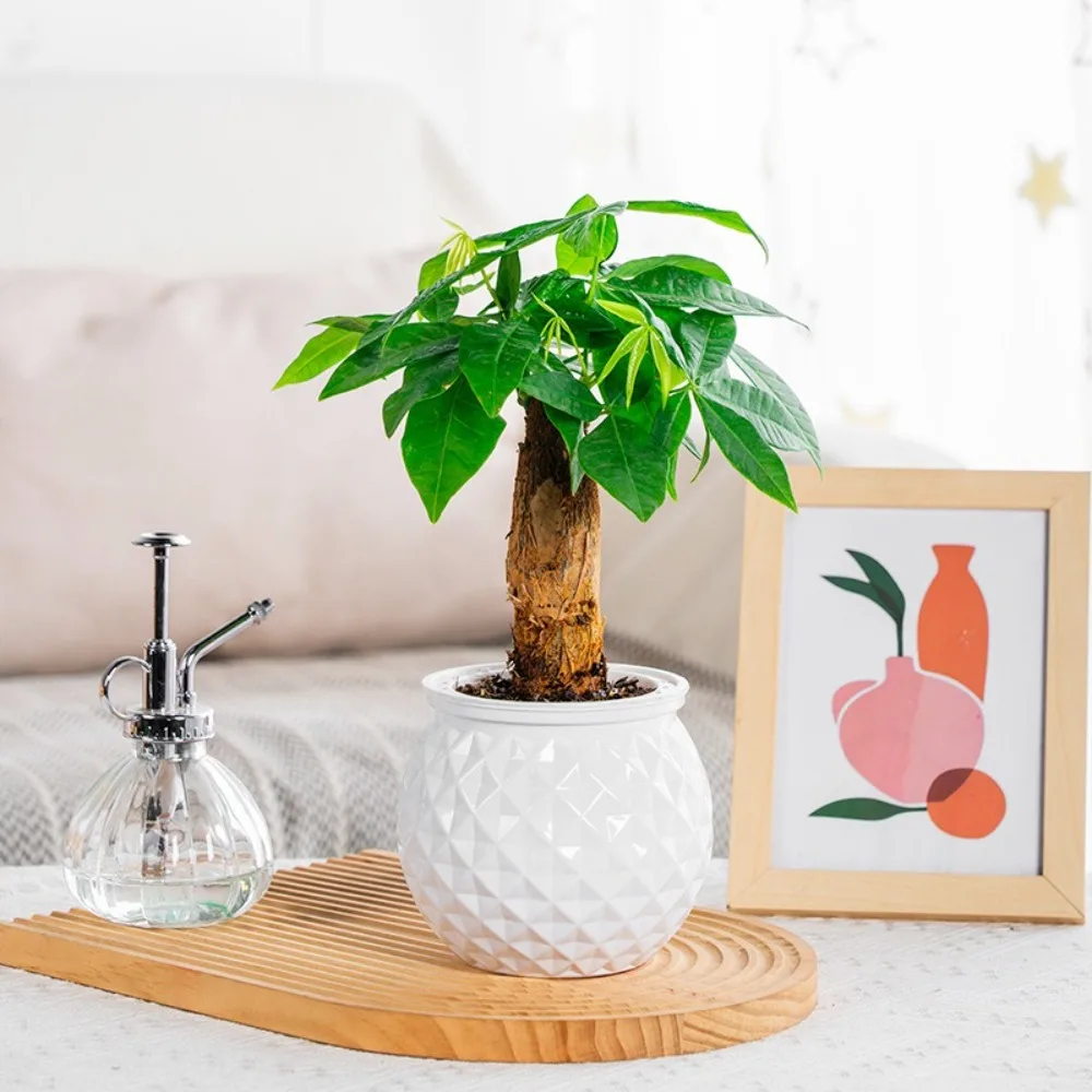Plastic Self Watering Hydroponic Planter Pot for Indoor Plants