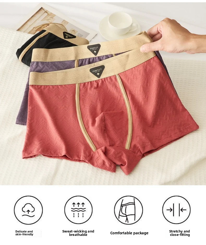 3PC 100% Cotton Men's Underwear Autumn Winter New 10A Antibacterial BoxerShorts Loose Comfortable Men's Quadrangle Underpants S4996f3b43e5645c9844d6abaee7fc213q