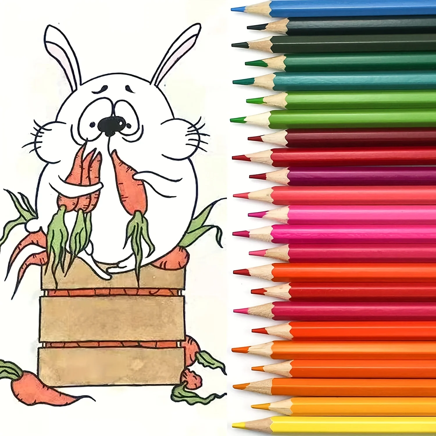Color Pencils 36/48/72 Colors Wood