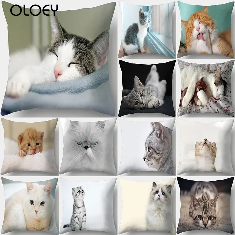 

Cute Cat Print Decorative Cushions Pillowcase Polyester Cushion Cover Throw Pillow Sofa Living Room Decoration Pillowcover 40956