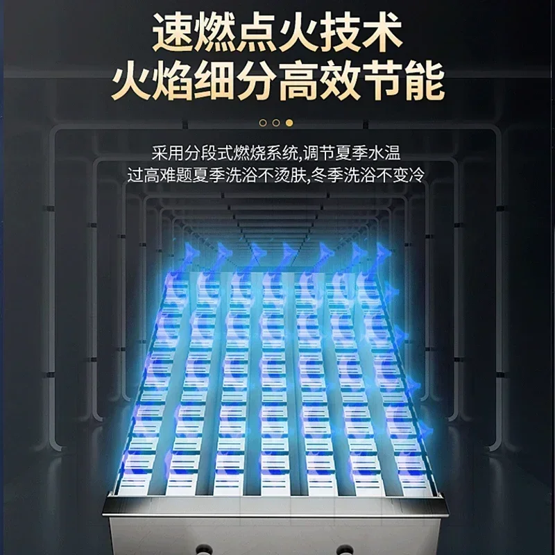 Outdoor forced exhaust constant temperature gas water heater for home bathing - Natural gas liquefied gas 12v water heater 1