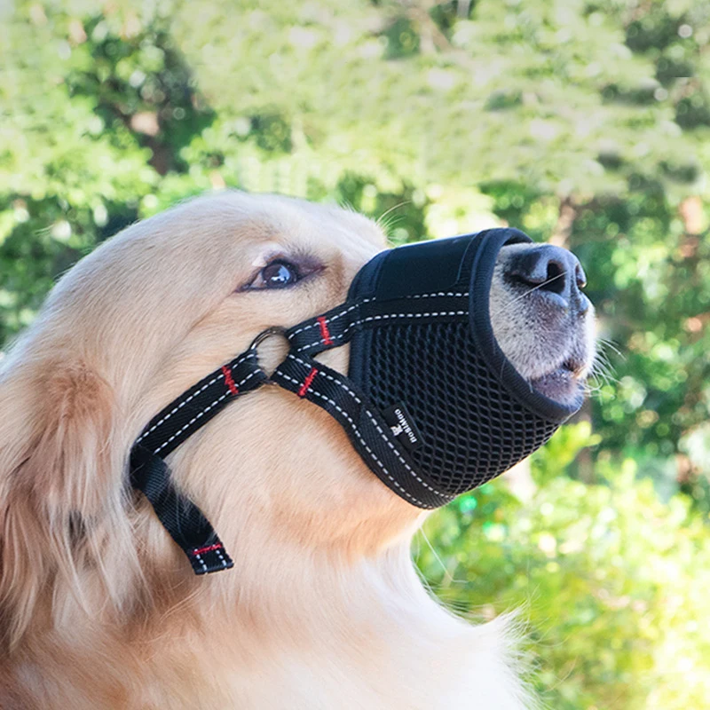 Can A Dog Bite With A Muzzle On