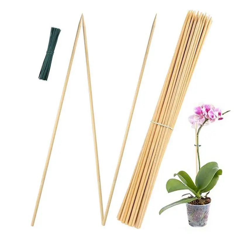 

Small Bamboos Tomato Stakes 50pcs Plant Stem Support Plant Vine Holder Stake Plant Support Stake Natural 17in For Small Plant