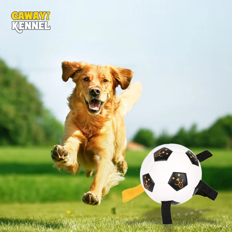 Cawayi Kennel High Flexibility Spherical Toy For Dogs Outdoor Training