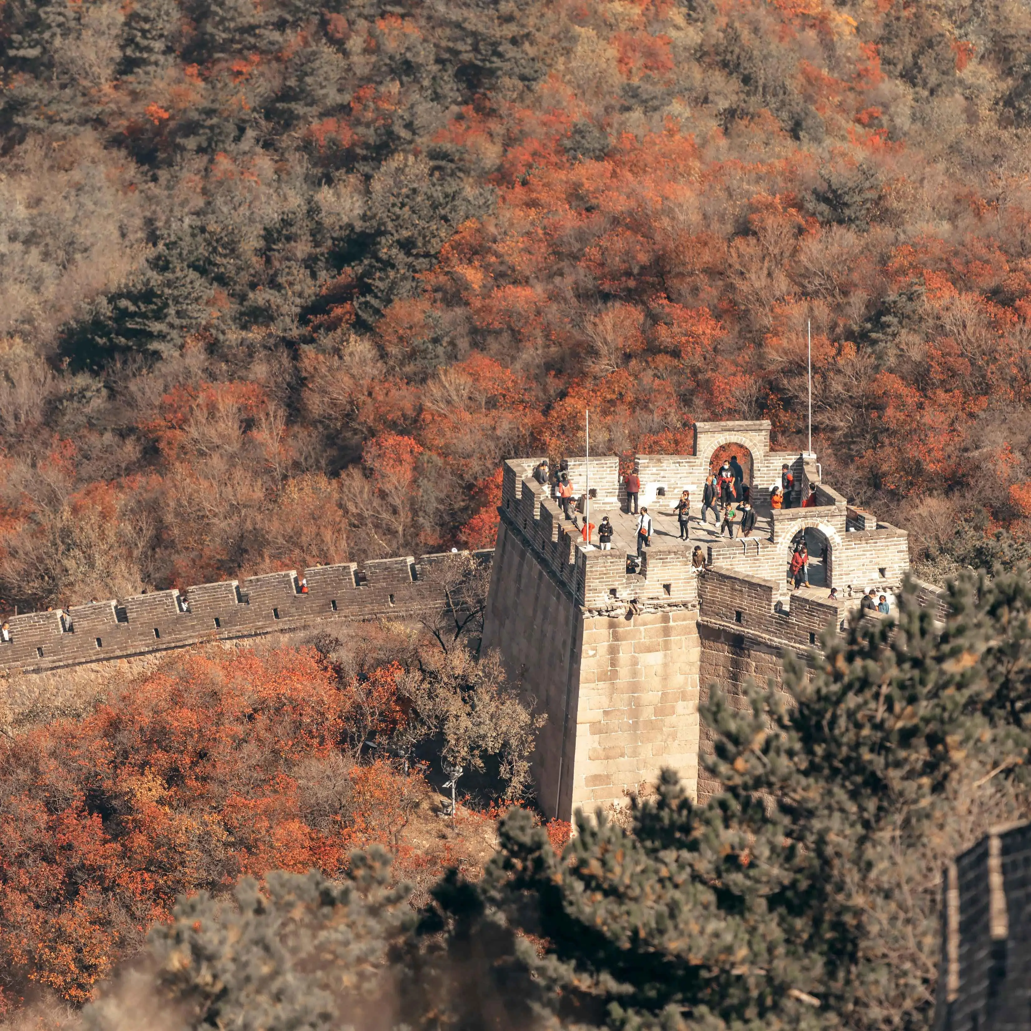 Fire Boy Water Girl Math Playground: A Fun Way to Learn and Play