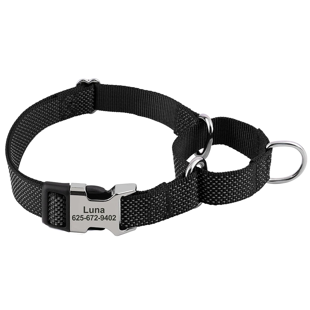 Custom Martingale Dog Collar 2