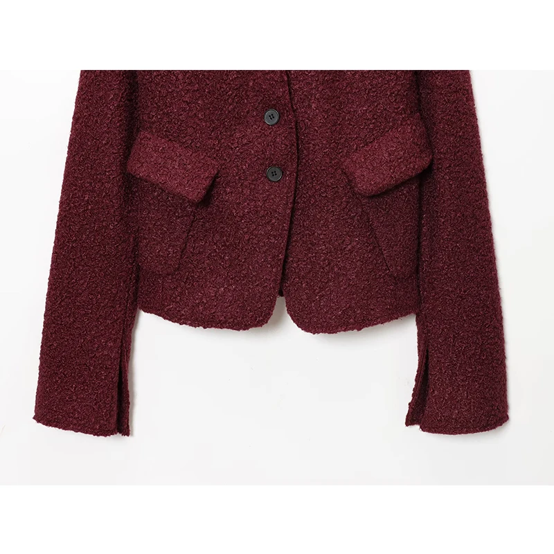 2025 Autumn Casual Jacket Coat Fashion Faux Lamb's Wool Long Sleeve Jackets For Women Streetwear Casual New Outerwear ﻿