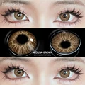 MEDUSA-BROWN