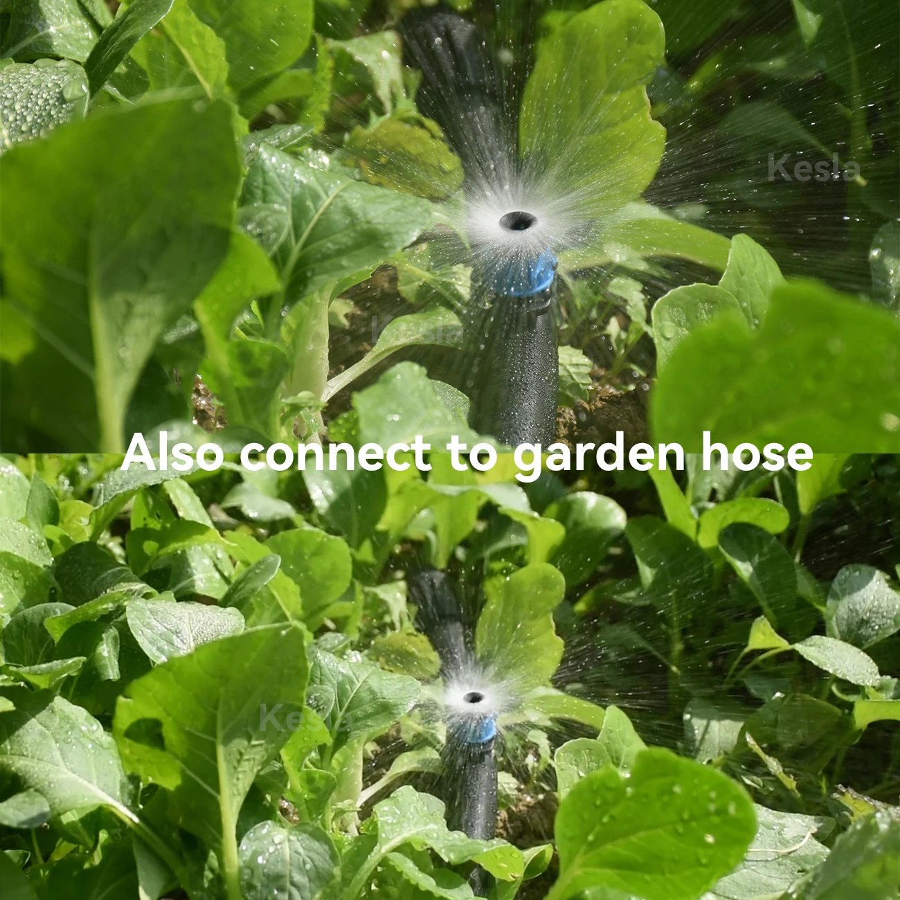 30-100pcs Adjustable Scattering Sprinklers Spraying 360 Degree Watering Dripper Home Garden Agriculture Mushroom Irrigation