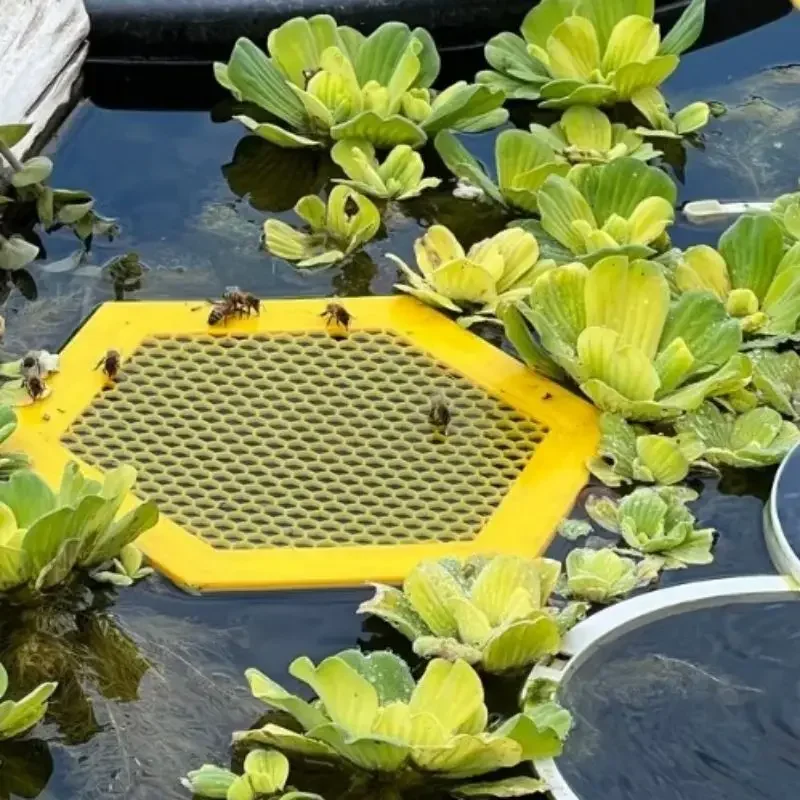 Floating Bee Island-Bee Waterer Netted Floating Bees Stay At Drinking Stations Simple Non-Toxic Beekeeping Special Water Feeder bee water feeder