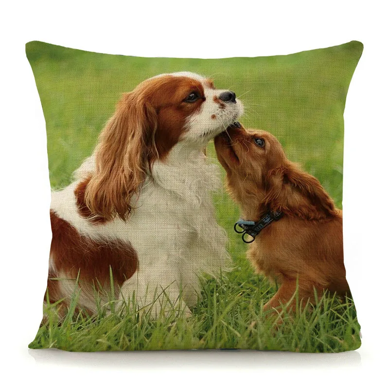 Cavalier King Charles Spaniel Dog Throw Pillow Cover – Soft Winter Pillowcase 18x18 Inch For Couch, Sofa, Bedroom Decor