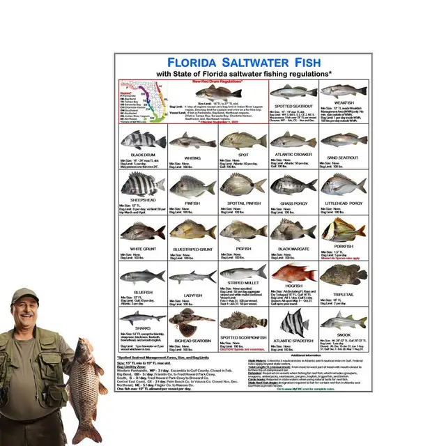 Fishing Identification Card Color Photos Florida Waters Rules