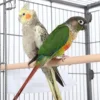 Topeakmart X-Large Parrot Cage Bird Cage with Rolling Stand Medium Birds Cockatiels Quaker Green Cheek Sun Conure African Grey 5