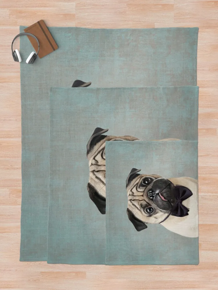 Mr Pug ���,  ��� ���� ���