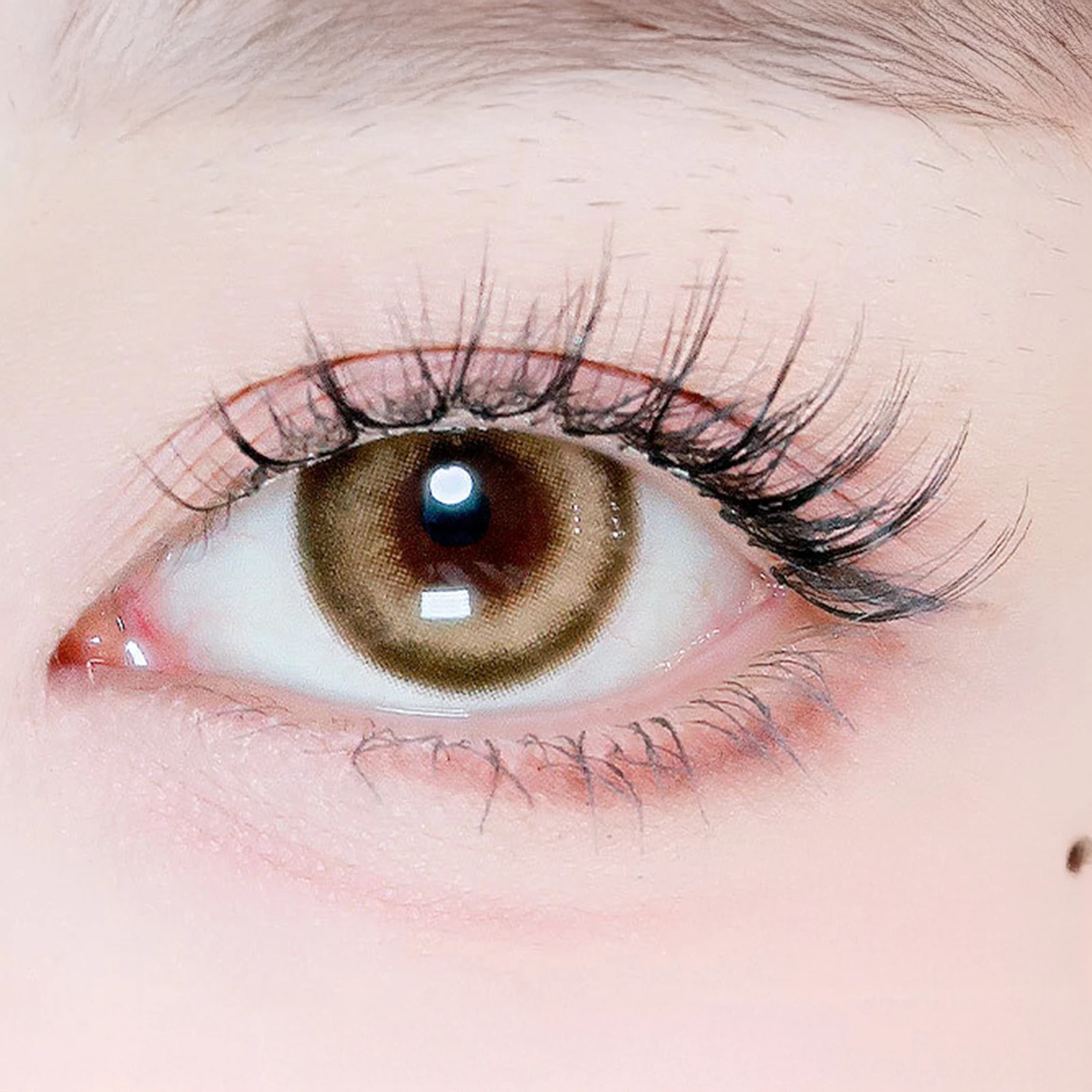 Description Picture 6 of item8-11mm DIY Fake Eyelashes C Curl Transparent Stem Segemented Eyelash Extensions Korean Style Natural Fluffy Wispy Lash Clusters