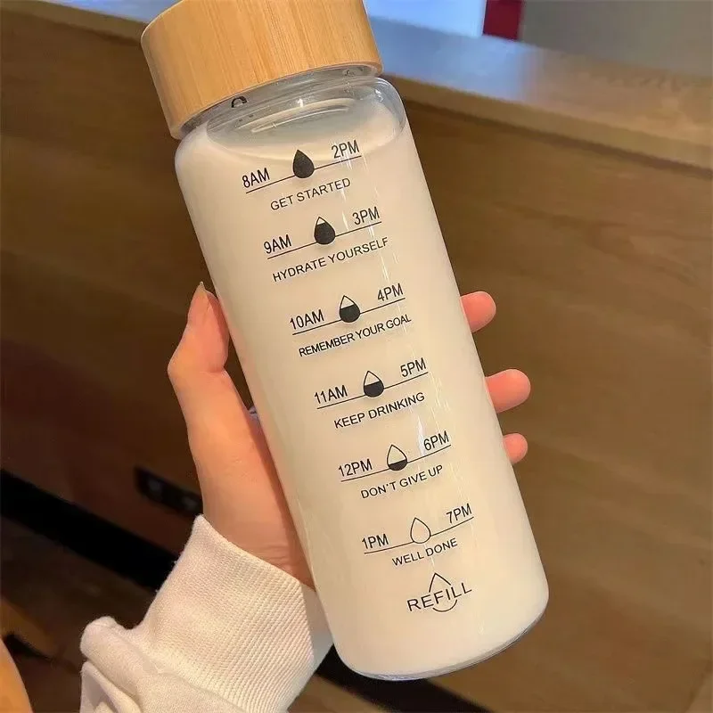 Borosilicate Glass Tea Infuser Water Bottle with Stainless Steel Filter