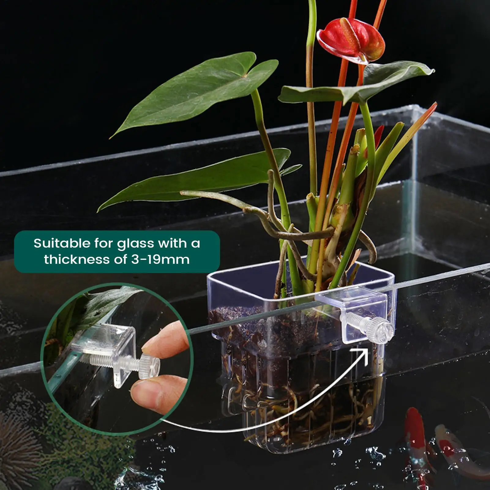 Transparent Hangable Aquarium Plant Holder for Indoor Hydroponic Cultivation