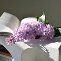 Light Purple-B