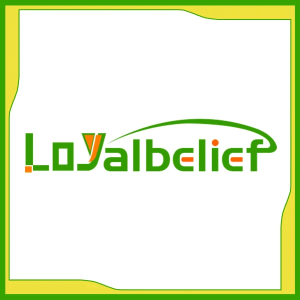 Loyalbelief Car Cooling Heating Parts Store