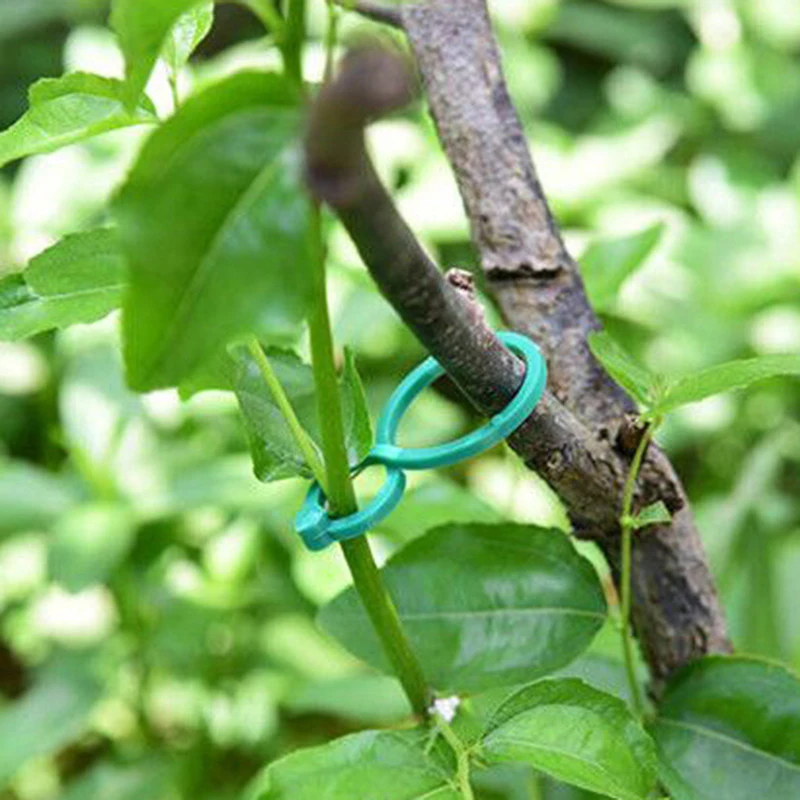 Garden Plant Holder Trellis Clips For Vine Vegetable Tomato Growing Upright Garden Plant Stand Tool 50/100 Pcs plant clips plastic plant clips