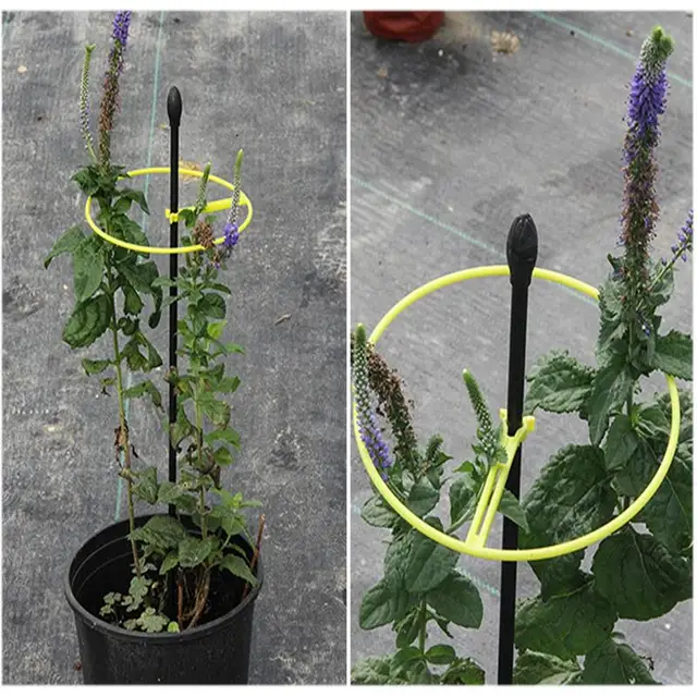 Szőlő Hegymászó Állvány Kerti Növényi Üzem Tartó Tányéri Virágnövény Rácsos Támogatás Kert Dekoráció Kertészeti Szerszám Ellátás - Image 4