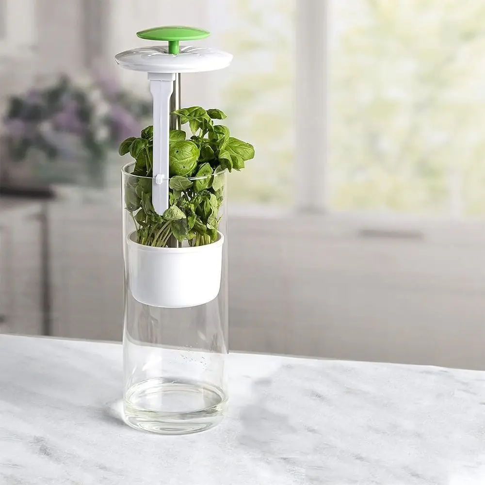 Accessories BPA Free Herb Keeper Kitchen Supplies Durable Herb Preserver Universal Preservation Bottle