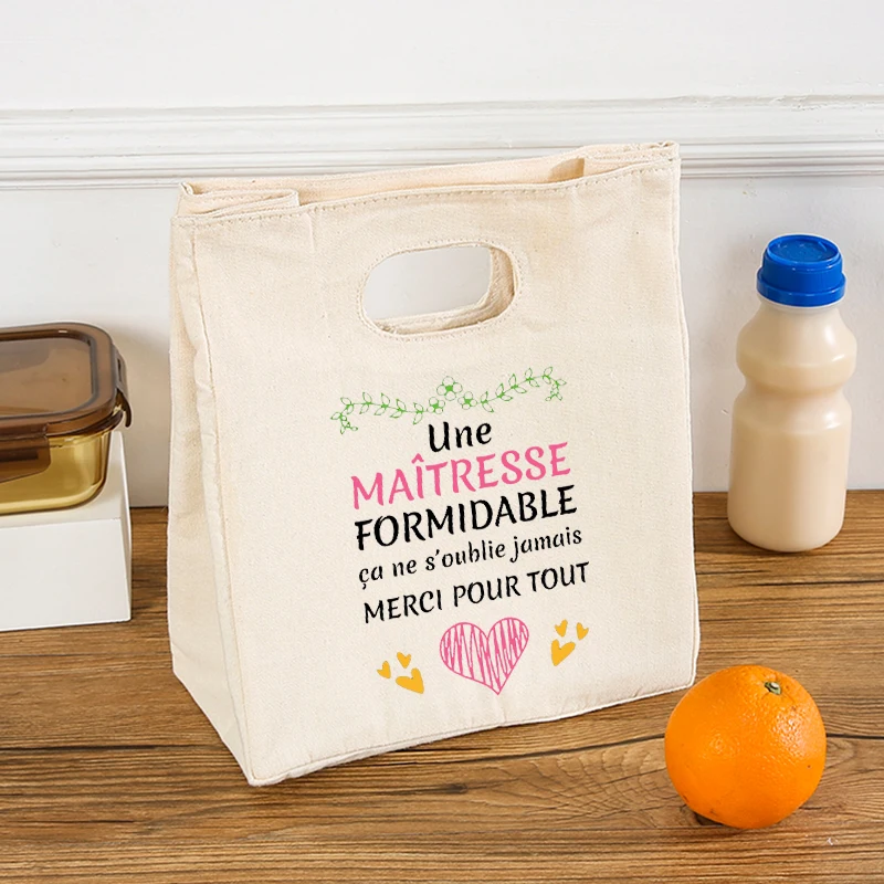 Women Lunch Bag Insulated Cooler Thermal Portable Ice Pack Picnic