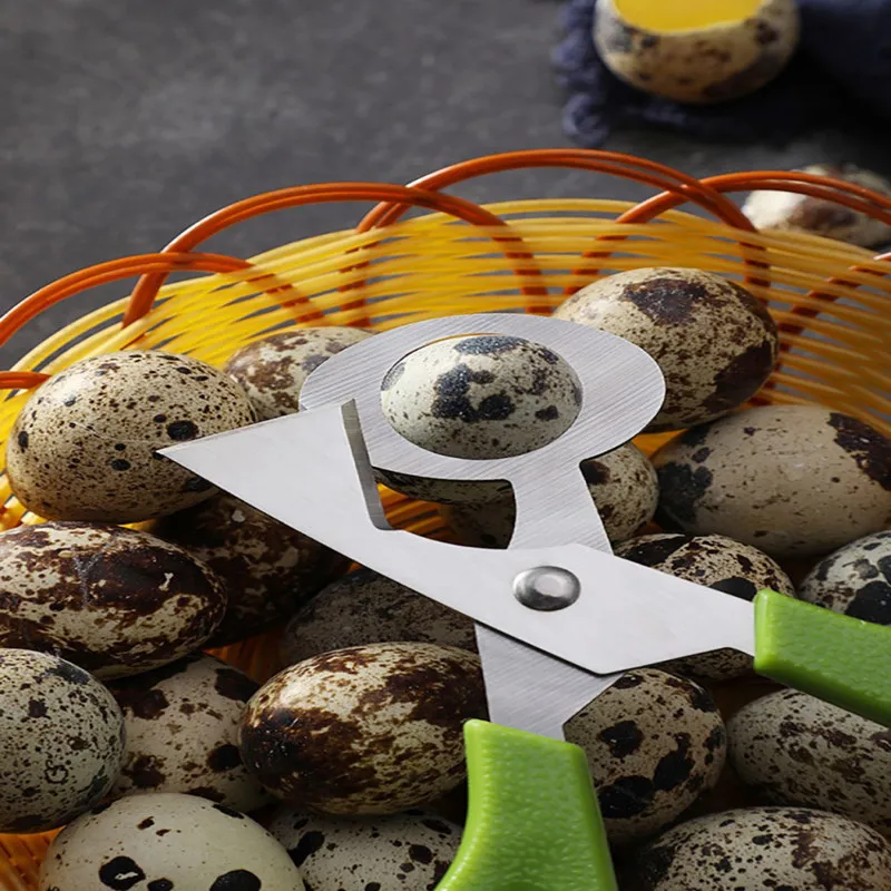 Egg Shell Opener Scissors Stainless Steel Quail Egg