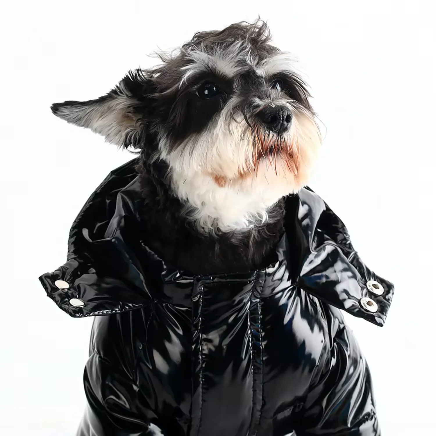Pet Dog Down Jacket Winter Coat with Cartoon Design, Black & Purple