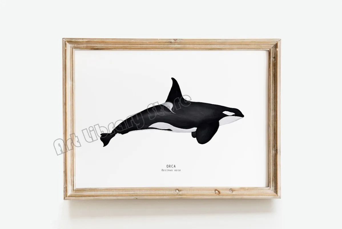 Marine Life Ocean Animals Canvas Art Poster - Whales, Sharks, and Turtles