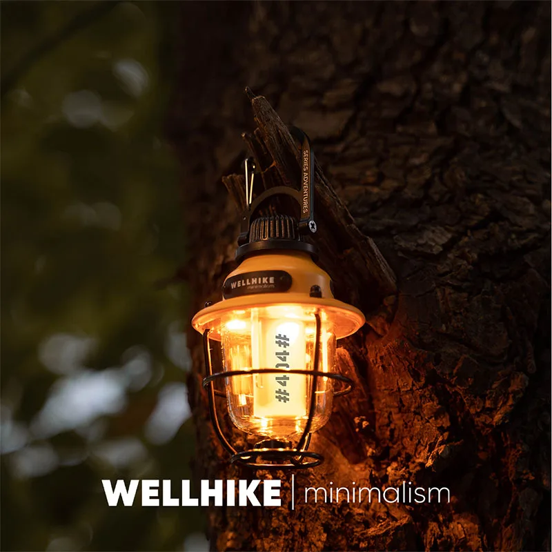 Pinecone LED Camping Light 4