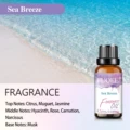 Sea Breeze